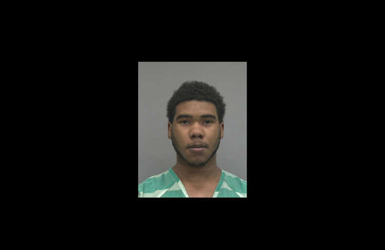Village Green Vs. The South, Alleged Gang Arrested for Attempted Homicide