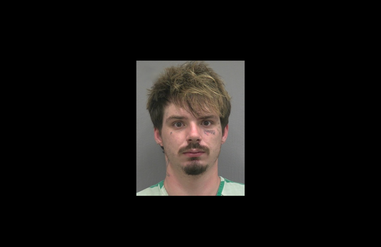 Gainesville Man Sentenced to Year of Probation for Domestic Battery