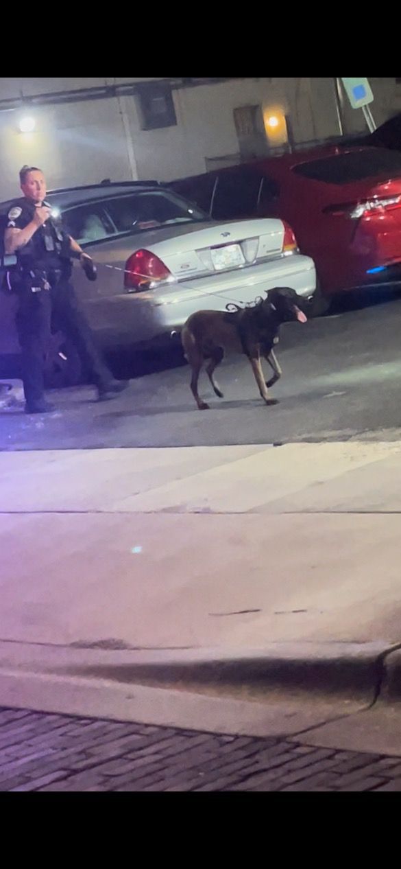 GPD Swarms Downtown After Shots Fired