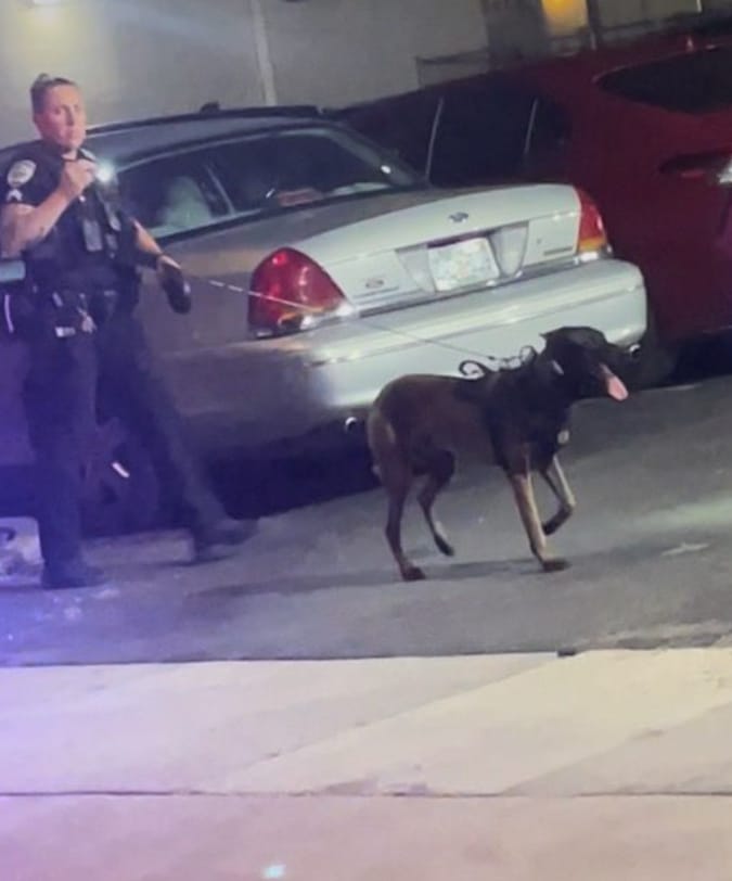 GPD Swarms Downtown After Shots Fired